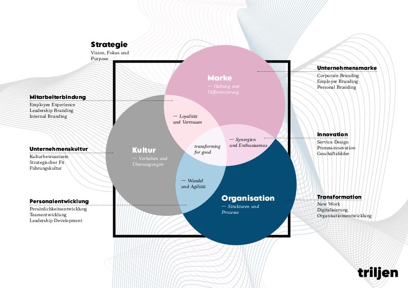 triljen befähigt Unternehmen zur Veränderung aus eigener Kraft